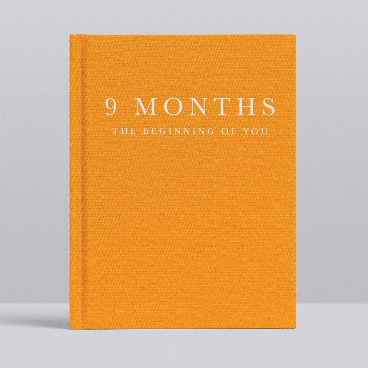 Write to Me | 9 Months, The Beginning of You - Journal