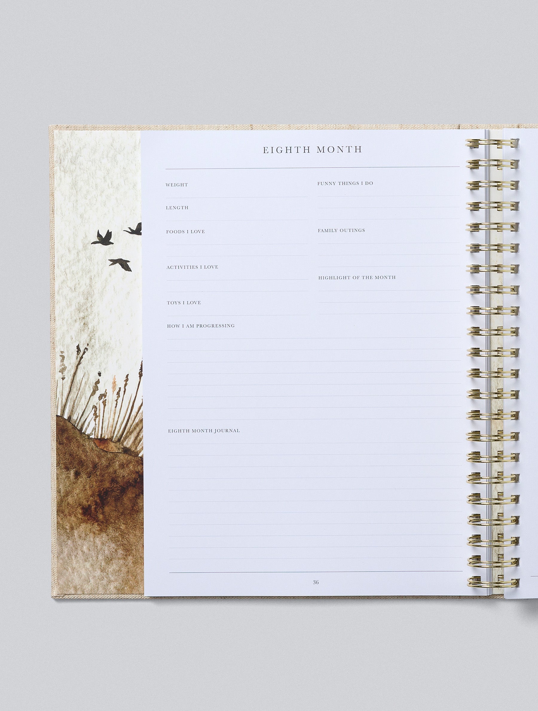 Write to Me | Baby. Your First Five Years Journal - Oatmeal
