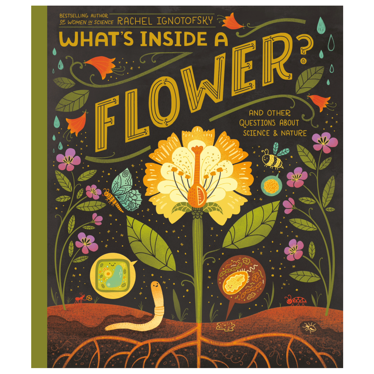 What's Inside A Flower?