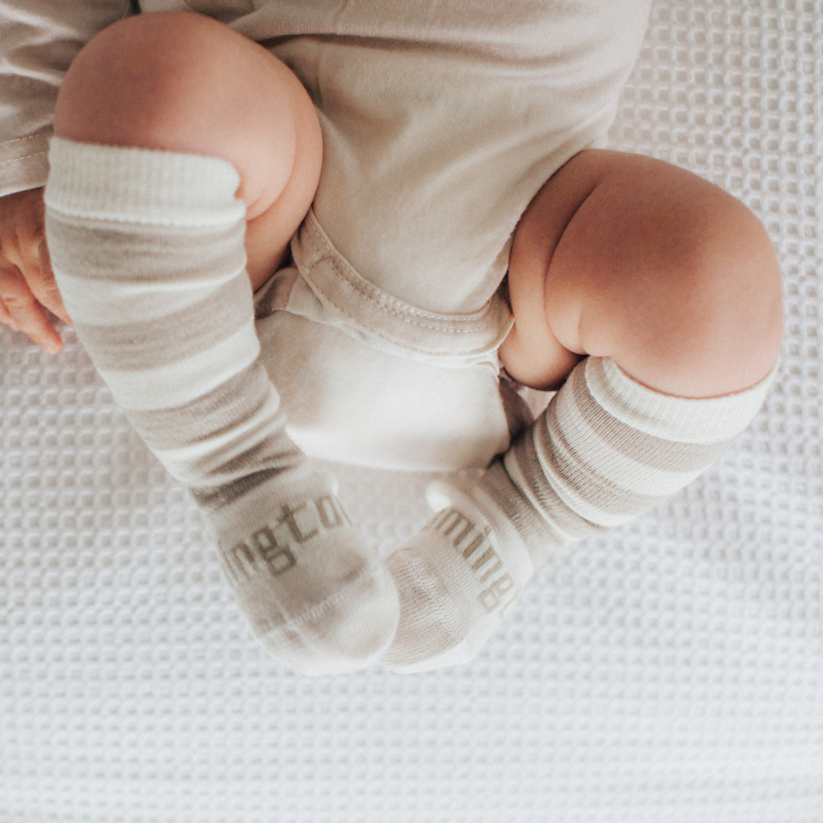 Lamington | Merino Baby Socks - Dandelion