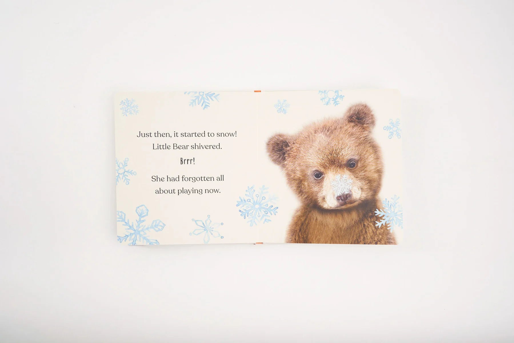 Goodnight, Little Bear - Board Book