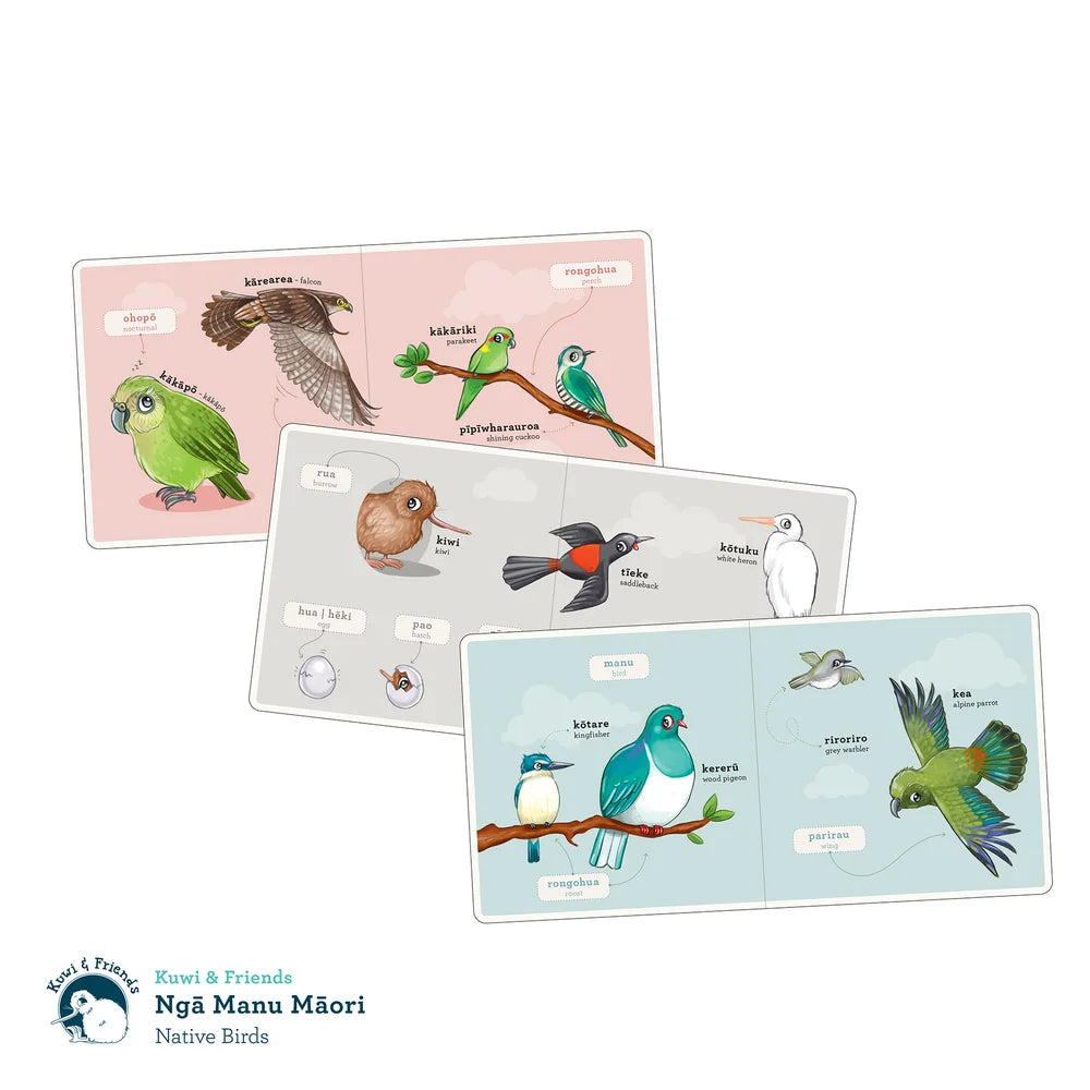 Ngā Manu Māori | Native Birds - Board Book