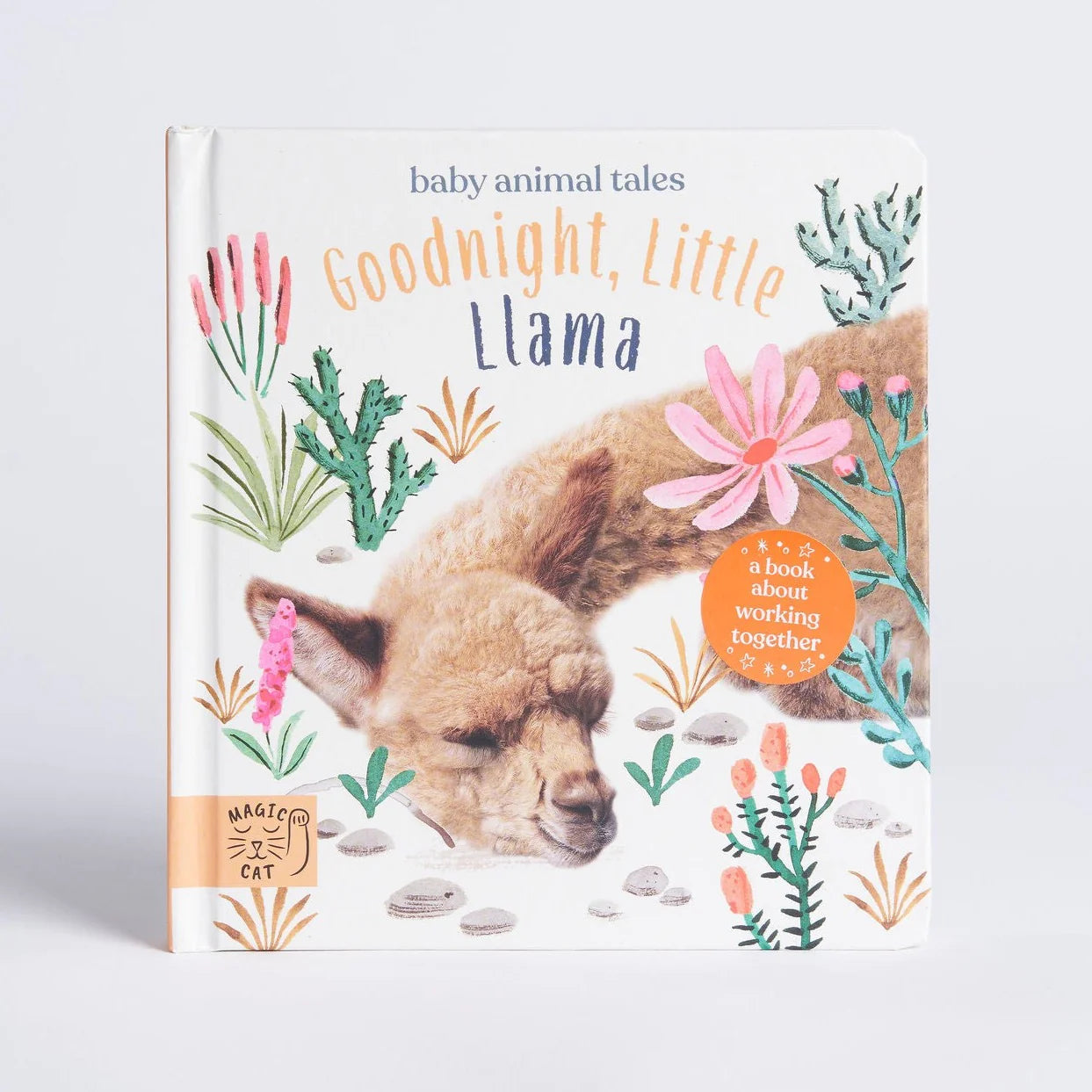 Goodnight, Little Llama - Board Book