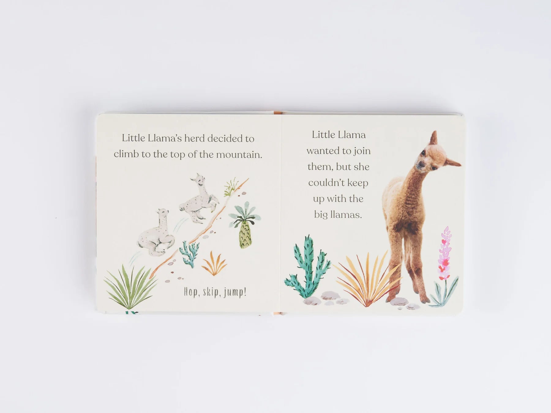 Goodnight, Little Llama - Board Book