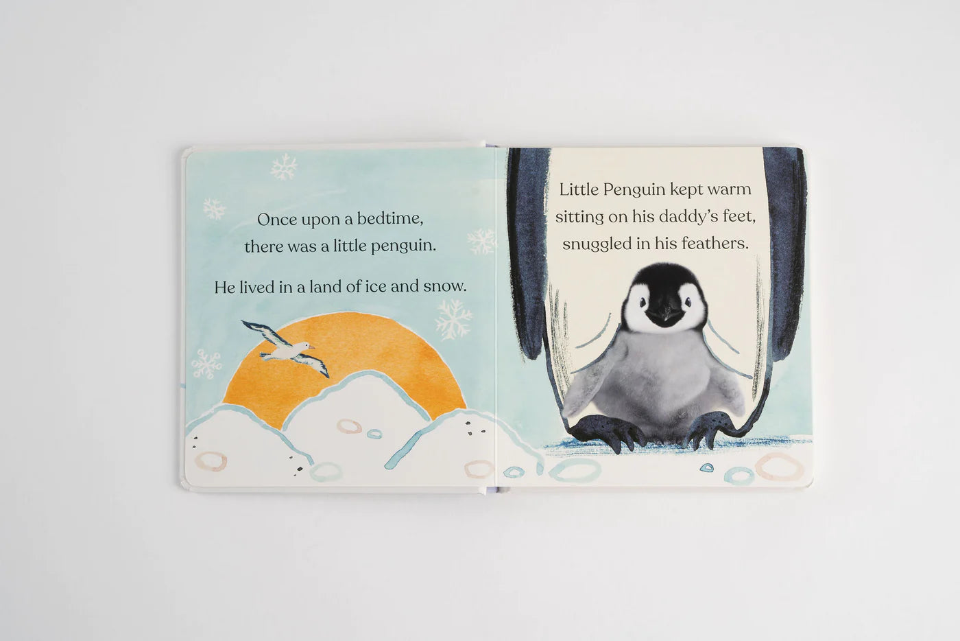 Goodnight, Little Penguin - Board Book