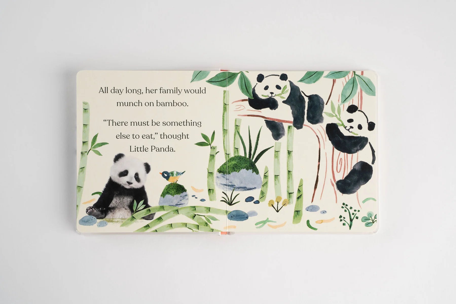Goodnight, Little Panda - Board Book