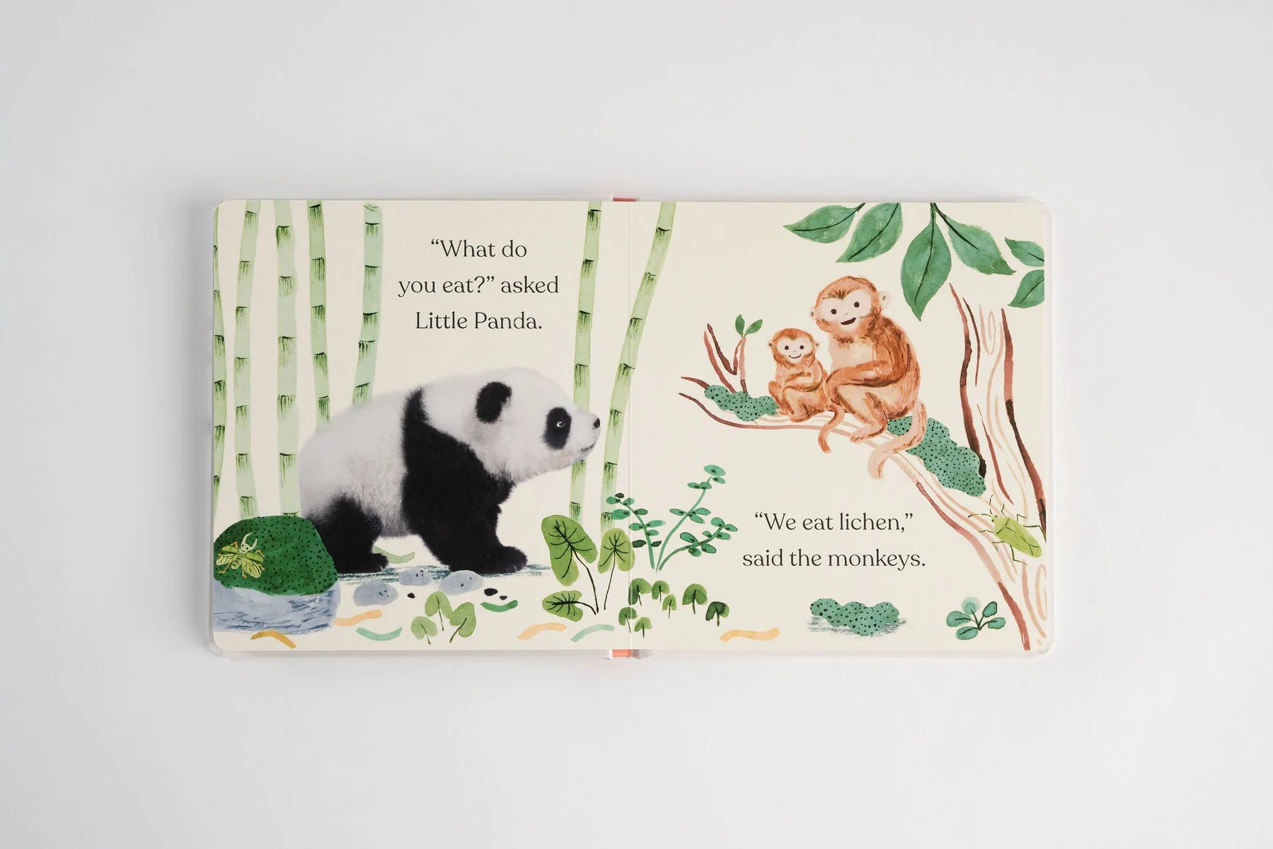 Goodnight, Little Panda - Board Book