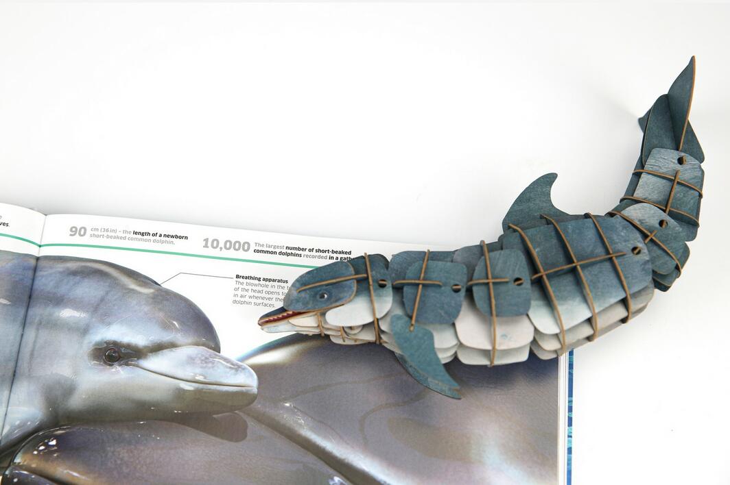 mierEdu | Eco 3D Puzzle - Dolphin