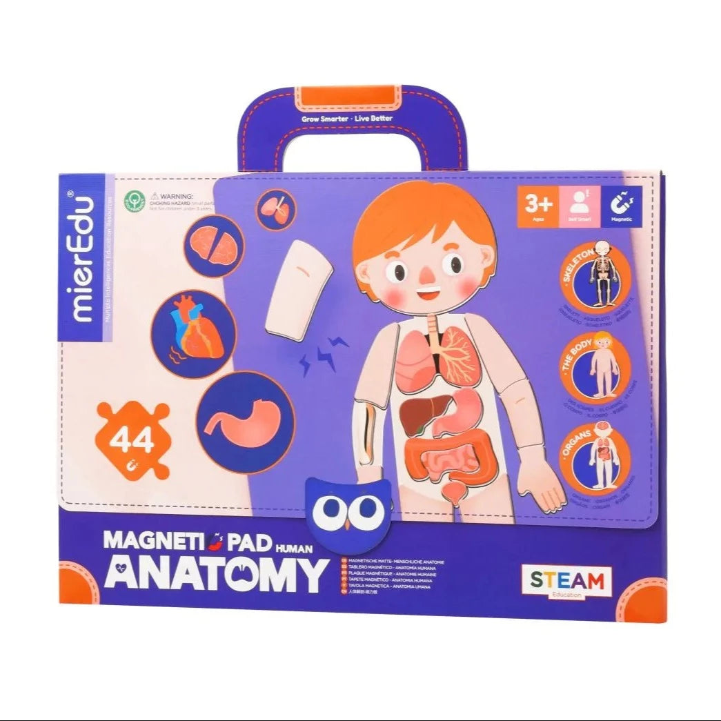 mierEdu | Magnetic Pad - Human Anatomy