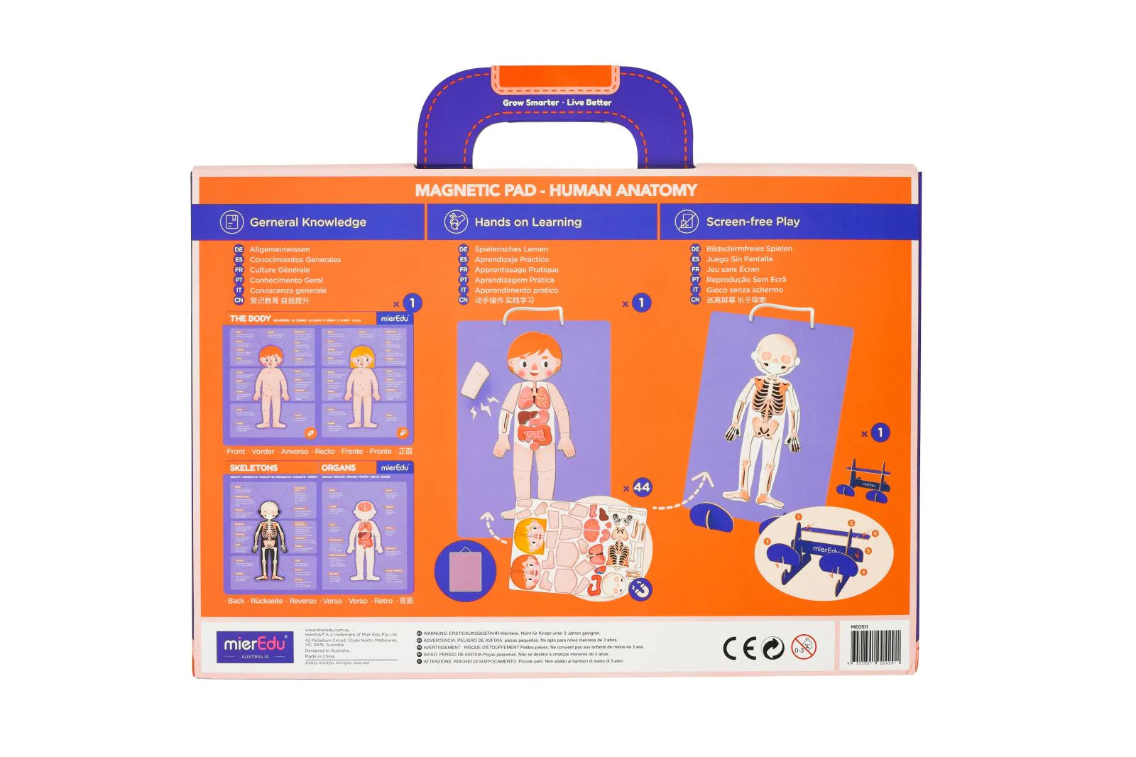 mierEdu | Magnetic Pad - Human Anatomy