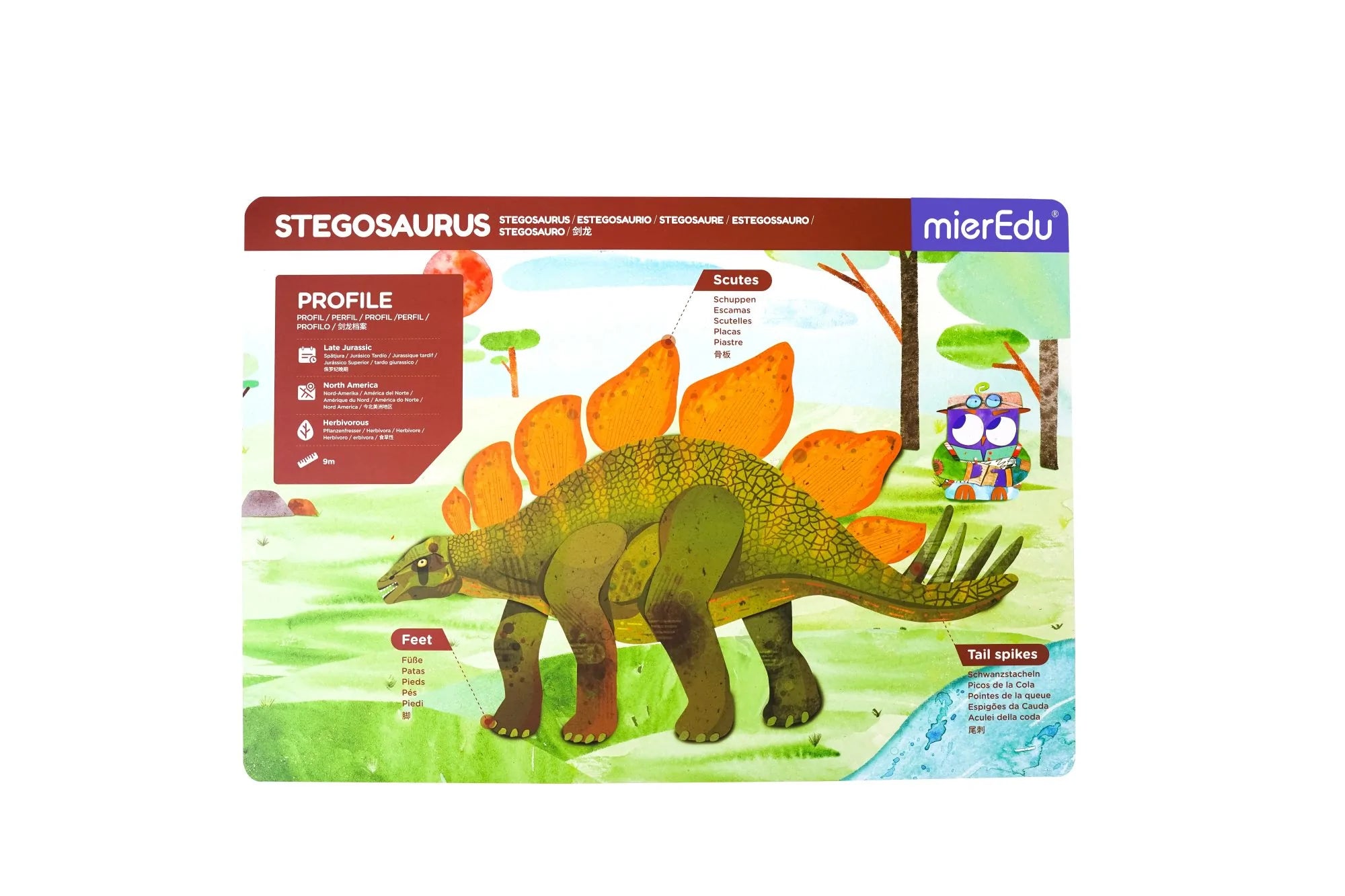mierEdu | Magnetic Pad - Stegosaurus