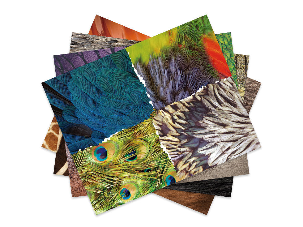 mierEdu | DIY Paper Collage Craft - Paper Animals