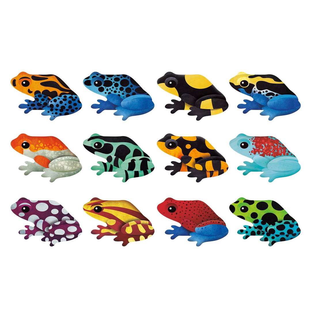 Mud Puppy | Shaped Memory Match - Tropical Frogs